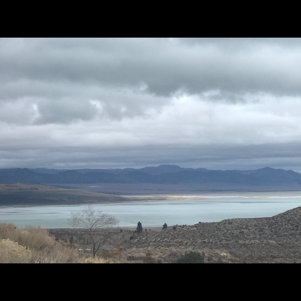 Meet your Posher, Iana